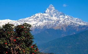 Himalayan Deurali Resort 4*